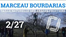 Thumbnail youtube y1nvq3EBv54.jpg
