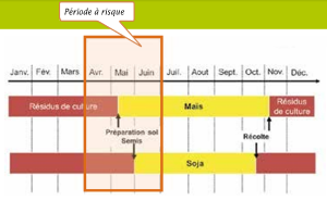 Périodes pendant lesquelles les sols sont sans couverture végétale lors des pluies intenses. Ce sont donc les rotations des cultures annuelles, c’est-à-dire la succession entre deux cultures et la période de sol nu, qui sont particulièrement importantes à appréhender.