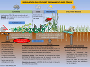 page suivante →