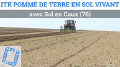 Vignette pour la version du 26 février 2021 à 17:59