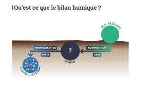 Illustration Formation cl-ag-bilan.jpg